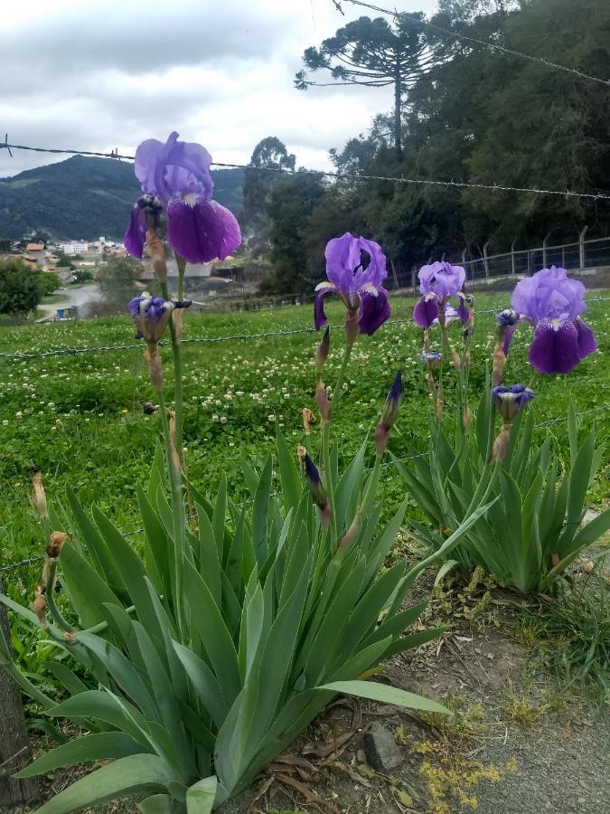 Chales Manaca Da Serra อูรูบิซิ ภายนอก รูปภาพ